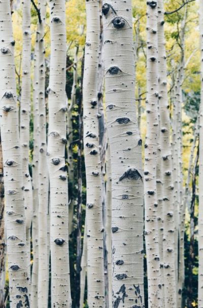 peng-chen-qd-dvtbS45Q-unsplash